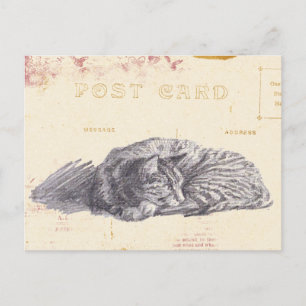 Kat Schets Gold en Roze  Briefkaart