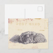 Kat Schets Gold en Roze  Briefkaart (Voorkant / Achterkant)