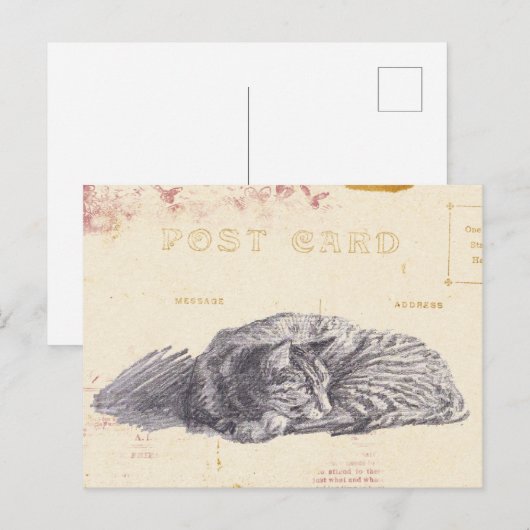 Kat Schets Gold en Roze Briefkaart (Voorkant / Achterkant)
