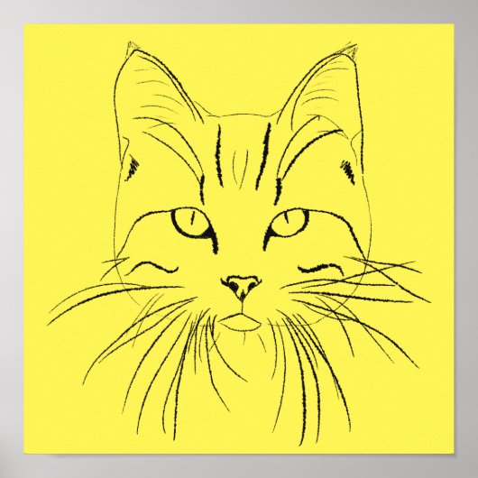 Kat-schets - kleur poster (Voorkant)