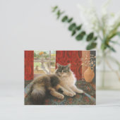 KAT-SCHIJNEN BRIEFKAART (Staand voorkant)