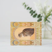 KAT-SCHIJNEN  BRIEFKAART (Staand voorkant)