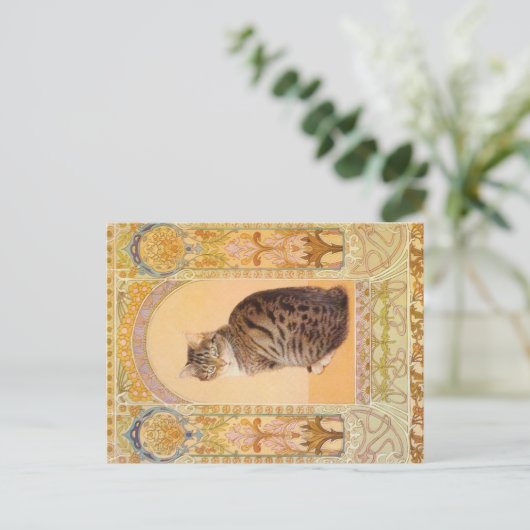 KAT-SCHIJNEN  BRIEFKAART (Staand voorkant)