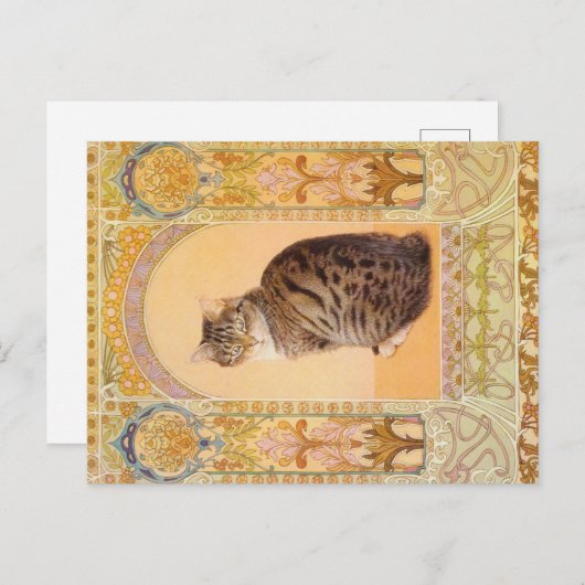 KAT-SCHIJNEN  BRIEFKAART (Voorkant / Achterkant)