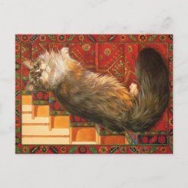 KAT-SCHIJNEN  BRIEFKAART