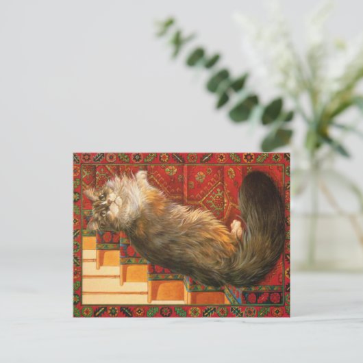 KAT-SCHIJNEN BRIEFKAART (Staand voorkant)