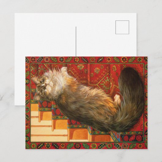 KAT-SCHIJNEN  BRIEFKAART (Voorkant / Achterkant)