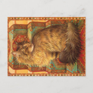 KAT-SCHIJNEN  BRIEFKAART