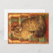 KAT-SCHIJNEN  BRIEFKAART (Voorkant / Achterkant)