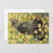 KAT-SCHIJNEN  BRIEFKAART (Voorkant / Achterkant)