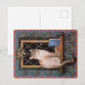 KAT-SCHIJNEN BRIEFKAART (Voorkant / Achterkant)