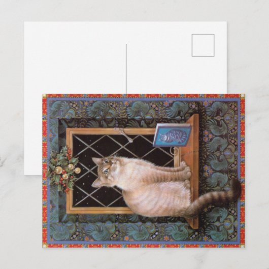 KAT-SCHIJNEN  BRIEFKAART (Voorkant / Achterkant)