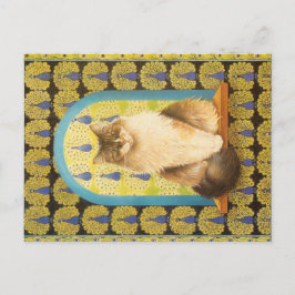 KAT-SCHIJNEN  BRIEFKAART