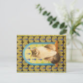 KAT-SCHIJNEN  BRIEFKAART (Staand voorkant)