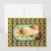 KAT-SCHIJNEN  BRIEFKAART (Voorkant / Achterkant)