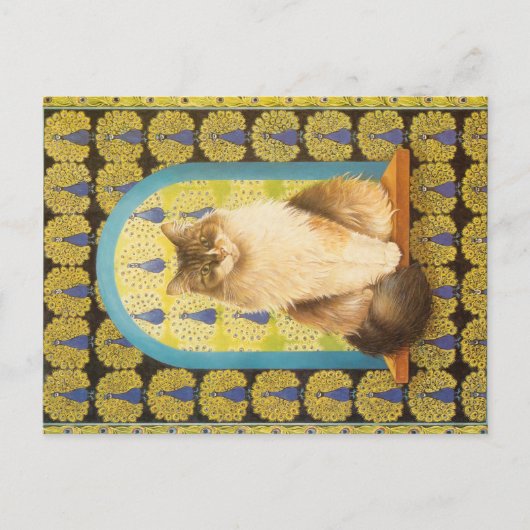 KAT-SCHIJNEN  BRIEFKAART (Voorkant)