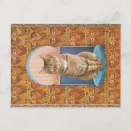 KAT-SCHIJNEN  BRIEFKAART