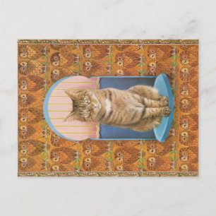 KAT-SCHIJNEN  BRIEFKAART