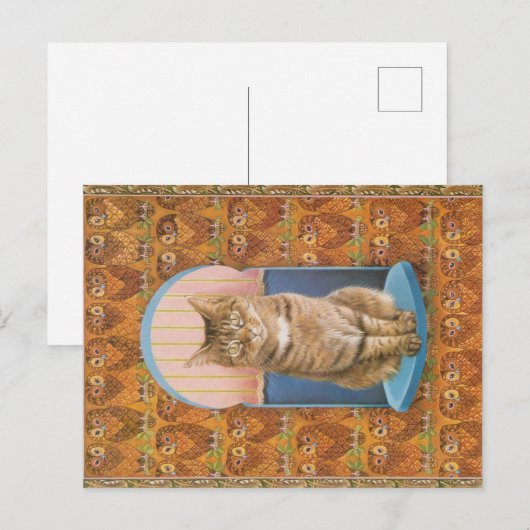 KAT-SCHIJNEN  BRIEFKAART (Voorkant / Achterkant)