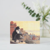 KAT-SCHIJNEN  BRIEFKAART (Staand voorkant)