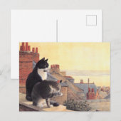 KAT-SCHIJNEN  BRIEFKAART (Voorkant / Achterkant)