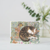 KAT-SCHIJNEN BRIEFKAART (Staand voorkant)