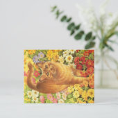 KAT-SCHIJNEN BRIEFKAART (Staand voorkant)