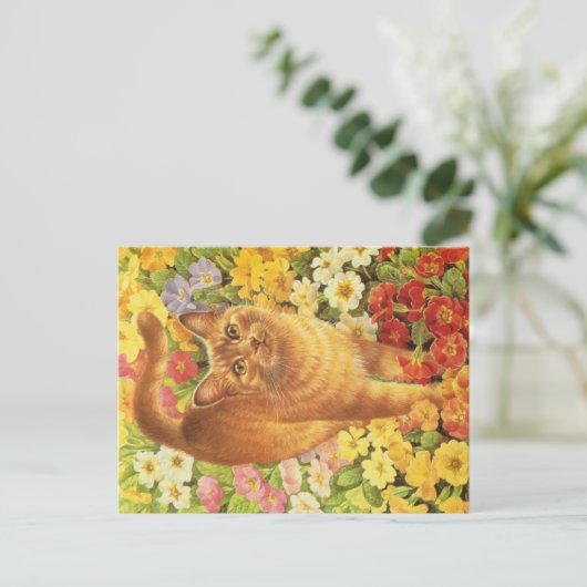 KAT-SCHIJNEN  BRIEFKAART (Staand voorkant)