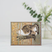 KAT-SCHIJNEN  BRIEFKAART (Staand voorkant)