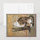 KAT-SCHIJNEN  BRIEFKAART (Voorkant / Achterkant)