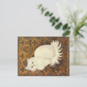 KAT-SCHIJNEN  BRIEFKAART (Staand voorkant)