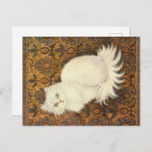 KAT-SCHIJNEN  BRIEFKAART (Voorkant / Achterkant)