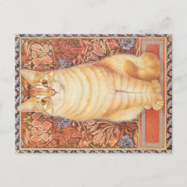 KAT-SCHIJNEN  BRIEFKAART