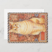 KAT-SCHIJNEN BRIEFKAART (Voorkant / Achterkant)