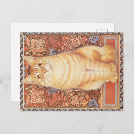 KAT-SCHIJNEN  BRIEFKAART (Voorkant / Achterkant)