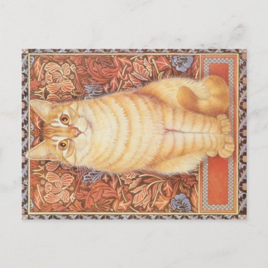 KAT-SCHIJNEN BRIEFKAART (Voorkant)