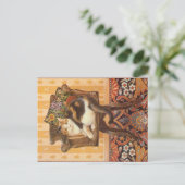 KAT-SCHIJNEN  BRIEFKAART (Staand voorkant)