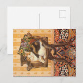 KAT-SCHIJNEN  BRIEFKAART (Voorkant / Achterkant)