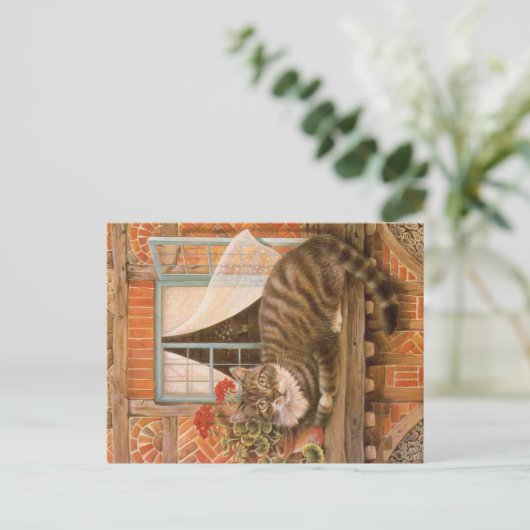 KAT-SCHIJNEN  BRIEFKAART (Staand voorkant)