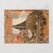 KAT-SCHIJNEN BRIEFKAART (Voorkant)