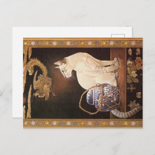 KAT-SCHIJNEN  BRIEFKAART (Voorkant / Achterkant)