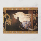 KAT-SCHIJNEN  BRIEFKAART (Voorkant)