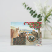 KAT-SCHIJNEN  BRIEFKAART (Staand voorkant)