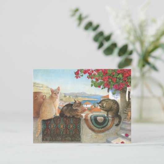 KAT-SCHIJNEN  BRIEFKAART (Staand voorkant)