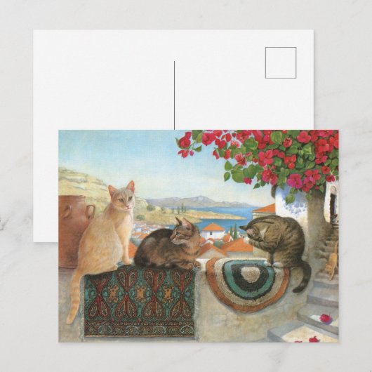 KAT-SCHIJNEN  BRIEFKAART (Voorkant / Achterkant)