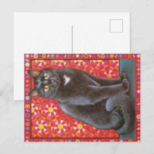 KAT-SCHIJNEN  BRIEFKAART (Voorkant / Achterkant)