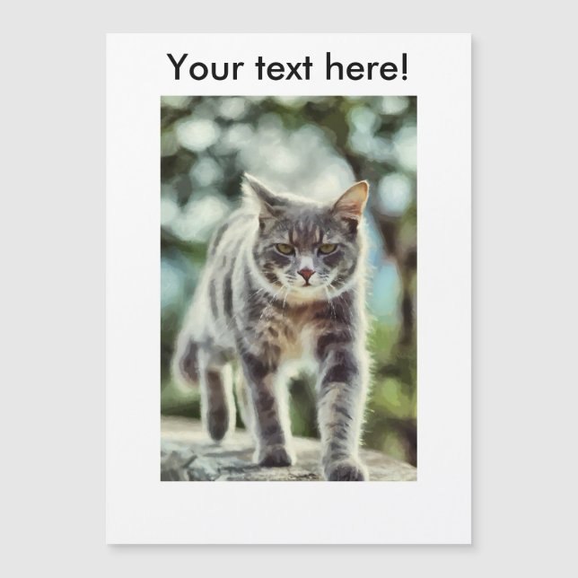 Kat schilderen (Voorkant)