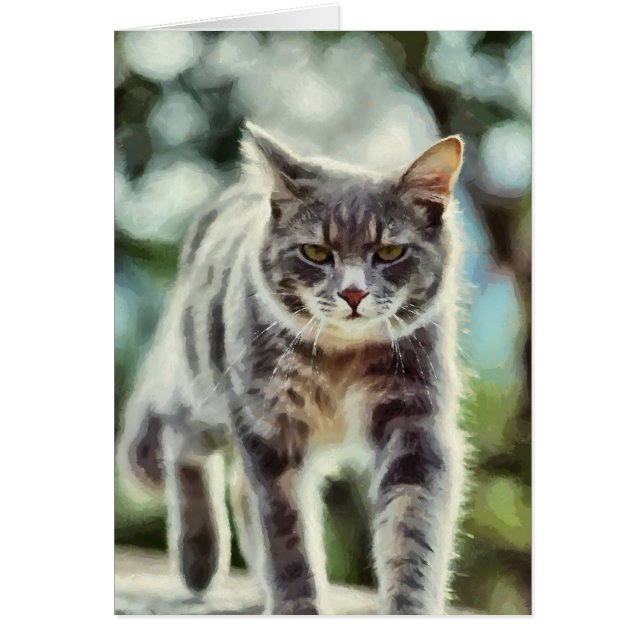 Kat schilderen (Voorkant)