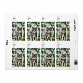 Kat schilderen etiket (Full Sheet)