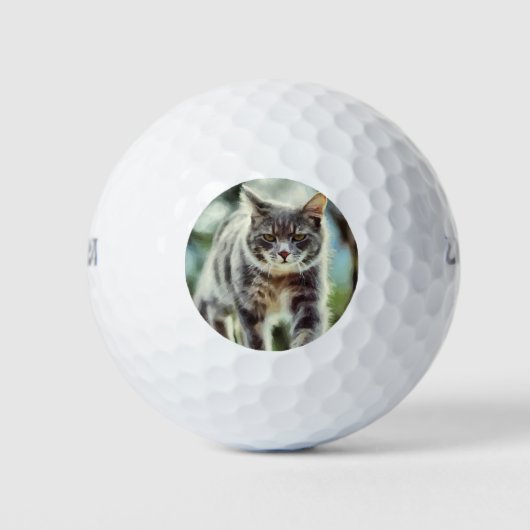 Kat schilderen golfballen (Voorkant)